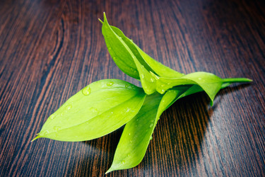 Similar image 11503310