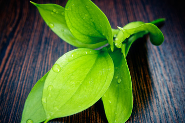 Similar image 11503311