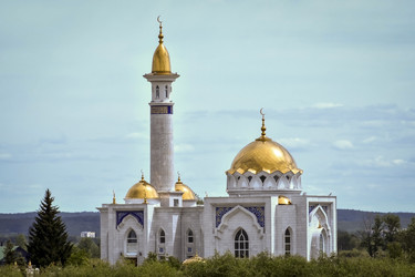 Similar image 11501825