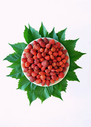 Similar image 11501826