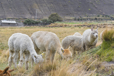 Similar image 11503407