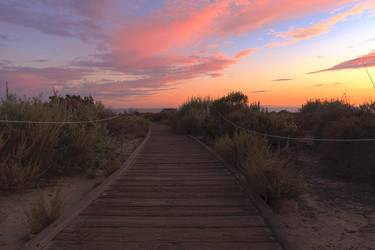 Similar image 11503710