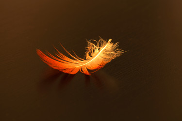 Similar image 11503712