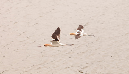 Similar image 11503716