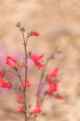 Similar image 11503717