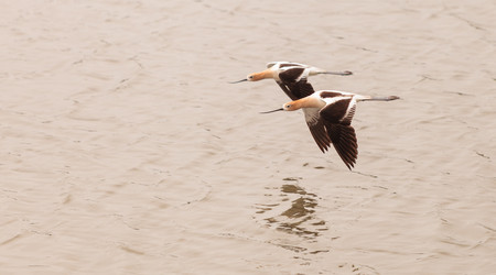 Similar image 11503727