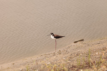 Similar image 11503728