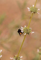 Similar image 11503732