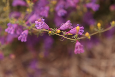 Similar image 11503733