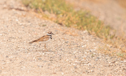 Similar image 11503734