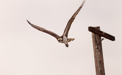 Similar image 11503735