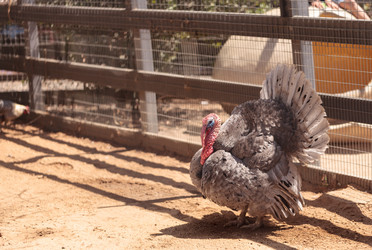 Similar image 11503686