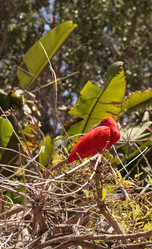 Similar image 11503689