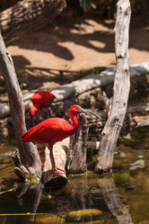 Similar image 11503718