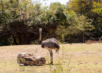 Similar image 11503719