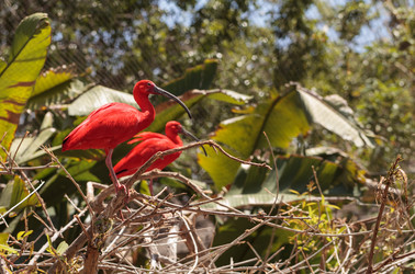 Similar image 11503720