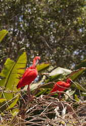 Similar image 11503722