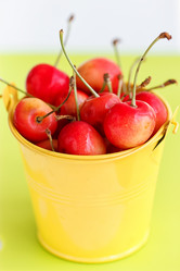 Similar image 11503215