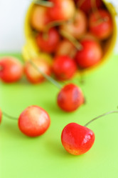 Similar image 11503216