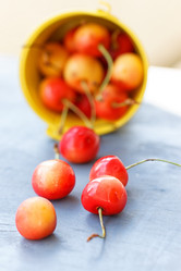 Similar image 11503217