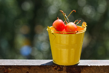 Similar image 11503218