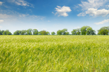 Similar image 11503282