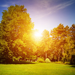 Similar image 11503283