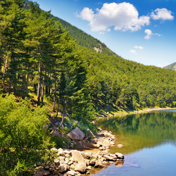 Similar image 11503284