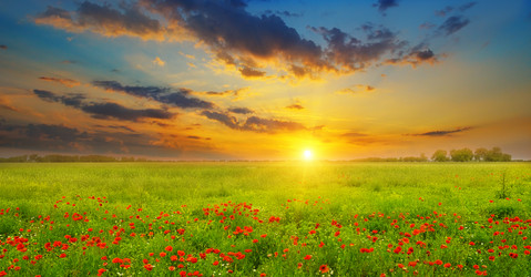 Similar image 11503286