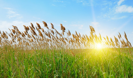 Similar image 11503287