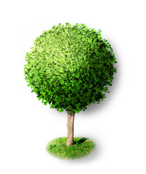 Similar image 11503363