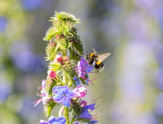 Similar image 11503351