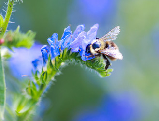 Similar image 11503352