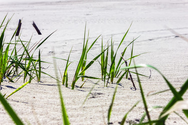 Similar image 11503266