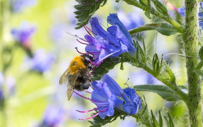 Similar image 11503353