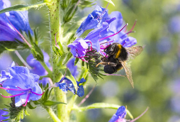 Similar image 11503354