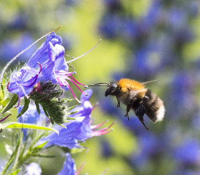 Similar image 11503356