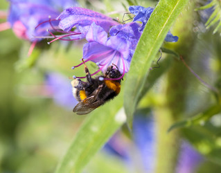 Similar image 11503367