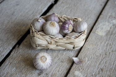 Similar image 11503443