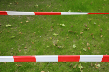 Similar image 11503357