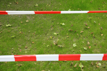 Similar image 11503358