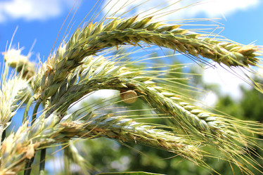 Similar image 11503203