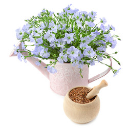 Similar image 11506385