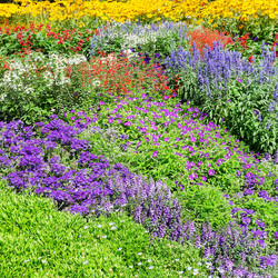 Similar image 11506387