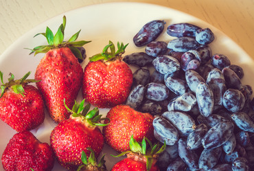 Similar image 11503500