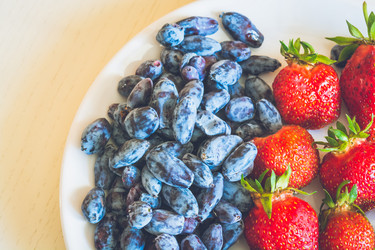 Similar image 11503502