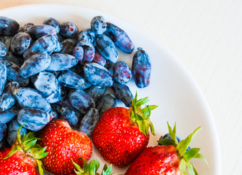 Similar image 11503504