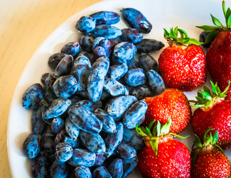 Similar image 11503505