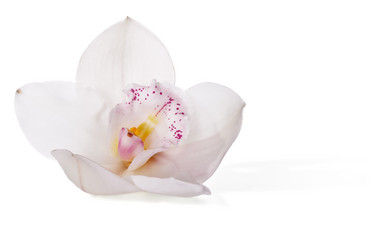 Similar image 11503315