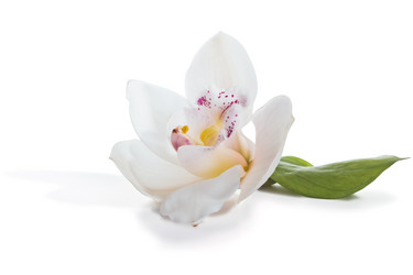 Similar image 11503316